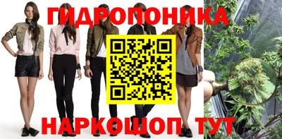 молекула духа Краснодар